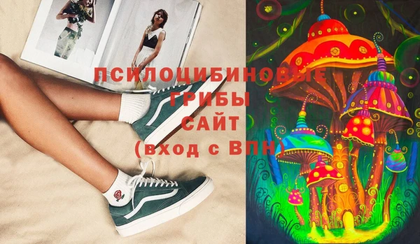 дживик Баксан