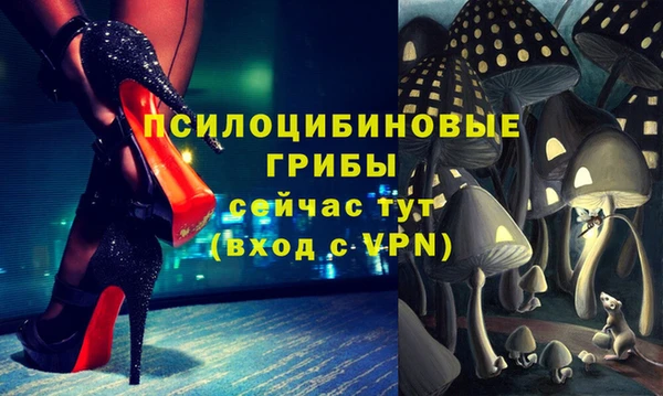 молекула духа Балабаново