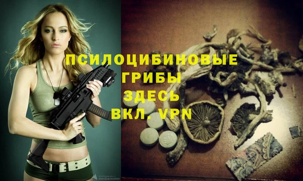 дживик Баксан