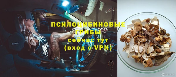 дживик Баксан